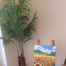 기다려 양과점 이미지