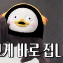 기프트엔젤