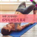 브릿지