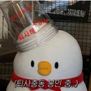 아돈 이미지