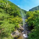 그집펜션 이미지