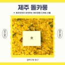 돌카롱 | 제주도 디저트 이색 선물 추천 돌카롱 도민후기