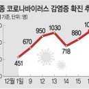 신문을 통해 알게된 것들 이미지