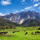 다상농장 이미지