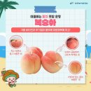 늘찬과일