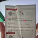 어비스몰 | 스와치X블랑팡 그린어비스 매장 3개 돌아다녀서 겨우 구한 후기