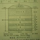 Re:묘목에 관하여...(수정) 이미지