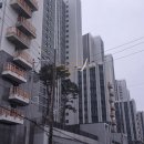 롯데캐슬1번지공인중개사사무소 이미지