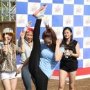 태미