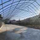 삼척양계장 이미지