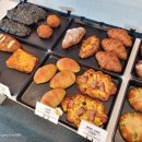 브레드9 이미지