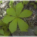 도깨비민박 이미지