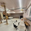 츄냥이 하우스 이미지