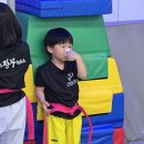 용인대 정무 태권도장 이미지