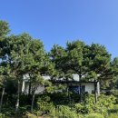 풍경채민박 네이버블로그