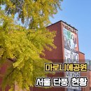 마로니에공원 | 대학로 마로니에공원 혜화 단풍 현황 놀거리