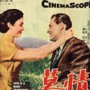 1956년 아카데미 주제가상 수상/ 1955년 영화 '모정' Love is a Many Splendored Thing - 앤디 윌리엄스 이미지