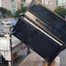 오션빌리지 104 이미지