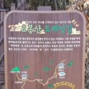 건천편백숲내음길 네이버블로그