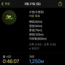 하기숲 캠핑장 이미지