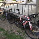 오리골민박 이미지