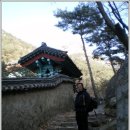 연신네