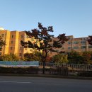 명인초등학교 이미지