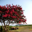 금호펜션 이미지