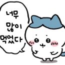 소문난원조쌈밥 | 강릉중앙시장 맛집 원조 소문난 무침회 후기 리뷰