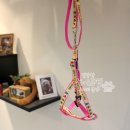 화이트펫# 이미지