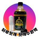 하루헛개 헛개수원액 후기｜헛개차 만드는 법 정리