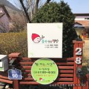 [숲속작은책방] 충북 괴산 여행 조용히 가볼 만한 곳 숲속작은책방