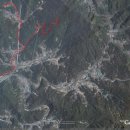 정생농장 Daum카페