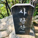 수협 앞 횡단보도 Daum카페