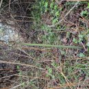 금당목장 이미지