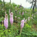 시냇물공원 이미지