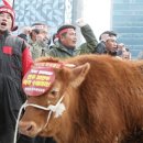 한뿔축산 이미지