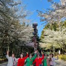 제주여행 | 제주도 중형버스 렌트로 다녀온 동호회 제주 여행 후기