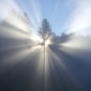 성실목장 이미지