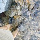 담터펜션 | 수도권 근처 경기도 담터계곡 주변 캠핑장 펜션 주차 반려견 이용 정리