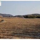 이동하나로약국 이미지