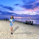 비치 | 모알보알 화이트비치 후기, 파낙사마 vs 비교, 추천 방문 시간