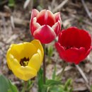 꽃집민박 이미지