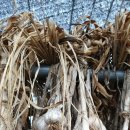 농업회사법인(주)도랑 이미지