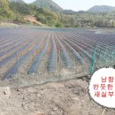 새실농장 이미지