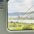 엘레강스바이크 | 제주도 여행을 빙자한 제주 패스파인더 노션 강의 후기[부제 : 그는 정녕 노는 법도 알려줘야 놀 수...