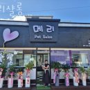 메리 샬롱 이미지