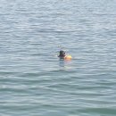 기장웰니스짐 이미지