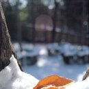 꽃보다아름다운당신 이미지