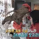 월악산약초민박 이미지